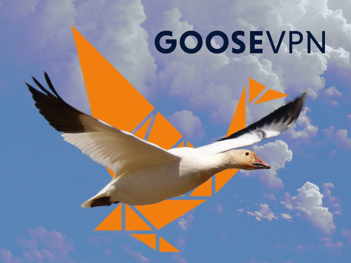  goose3.jpg 