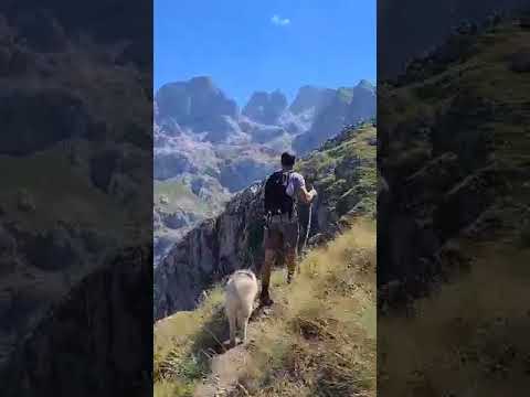 YouTube Premium - CONTENTbible